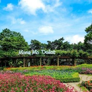 thue-xe-di-da-lat