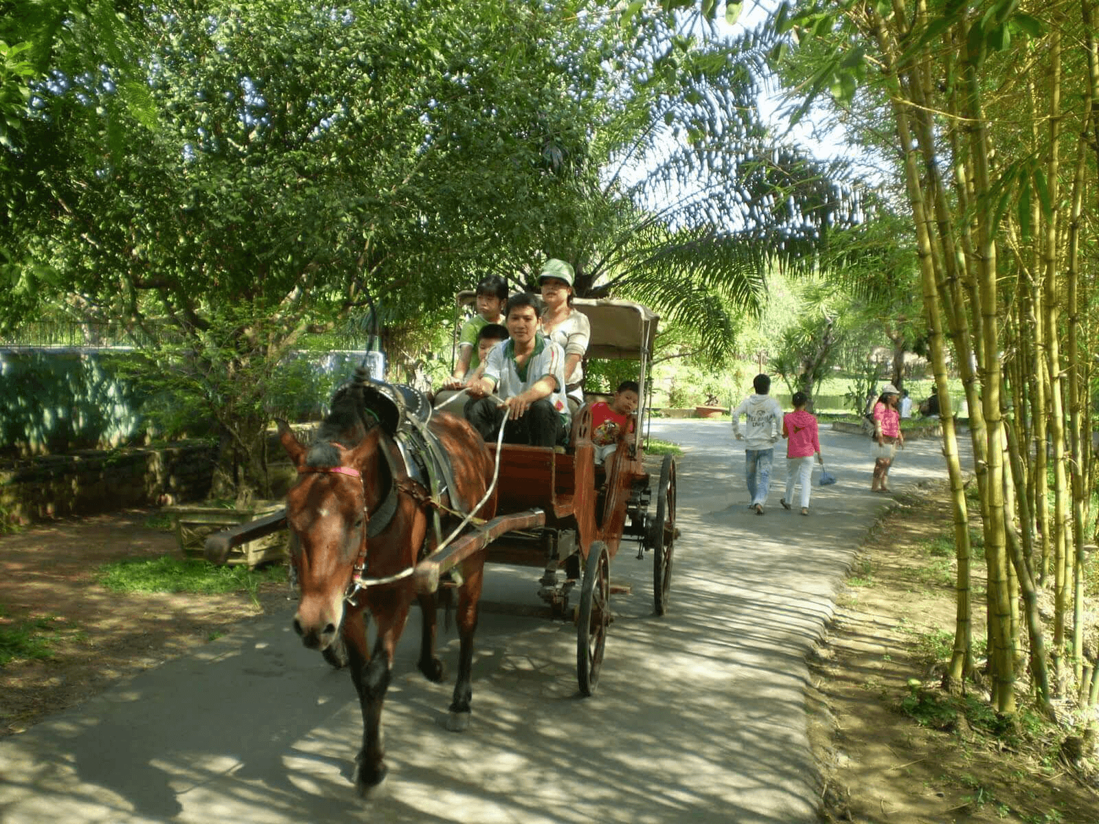 tham quan quanh làng bằng xe ngựa